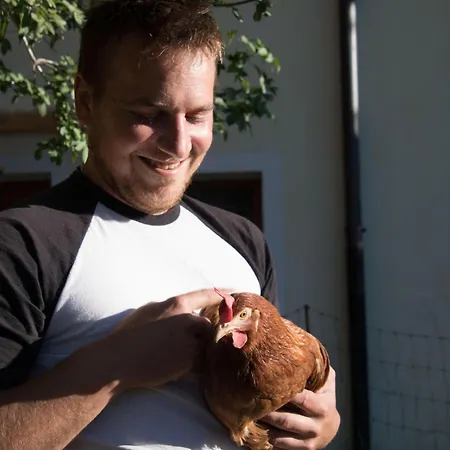 Apartment Haus Bergland Kartitsch