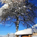 Haus Bergland